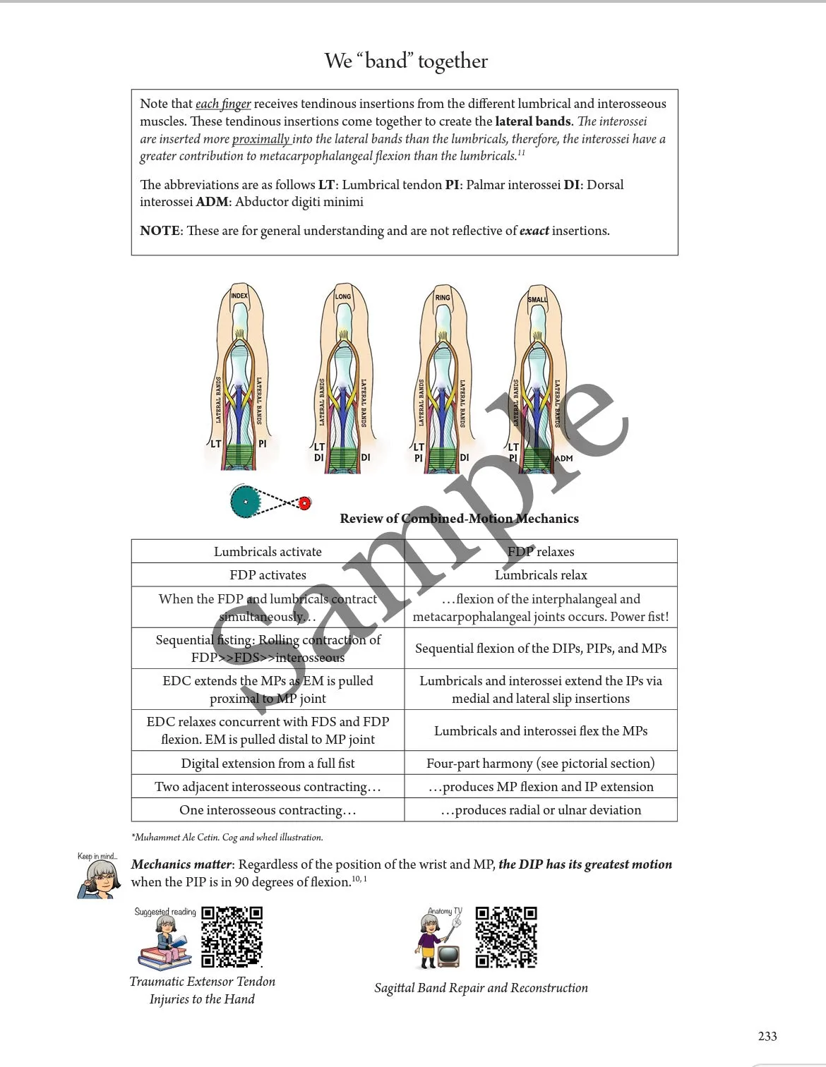 BEST VALUE: Everyday Anatomy! 0.9 CEUs are included! $244.00 Venmo only-