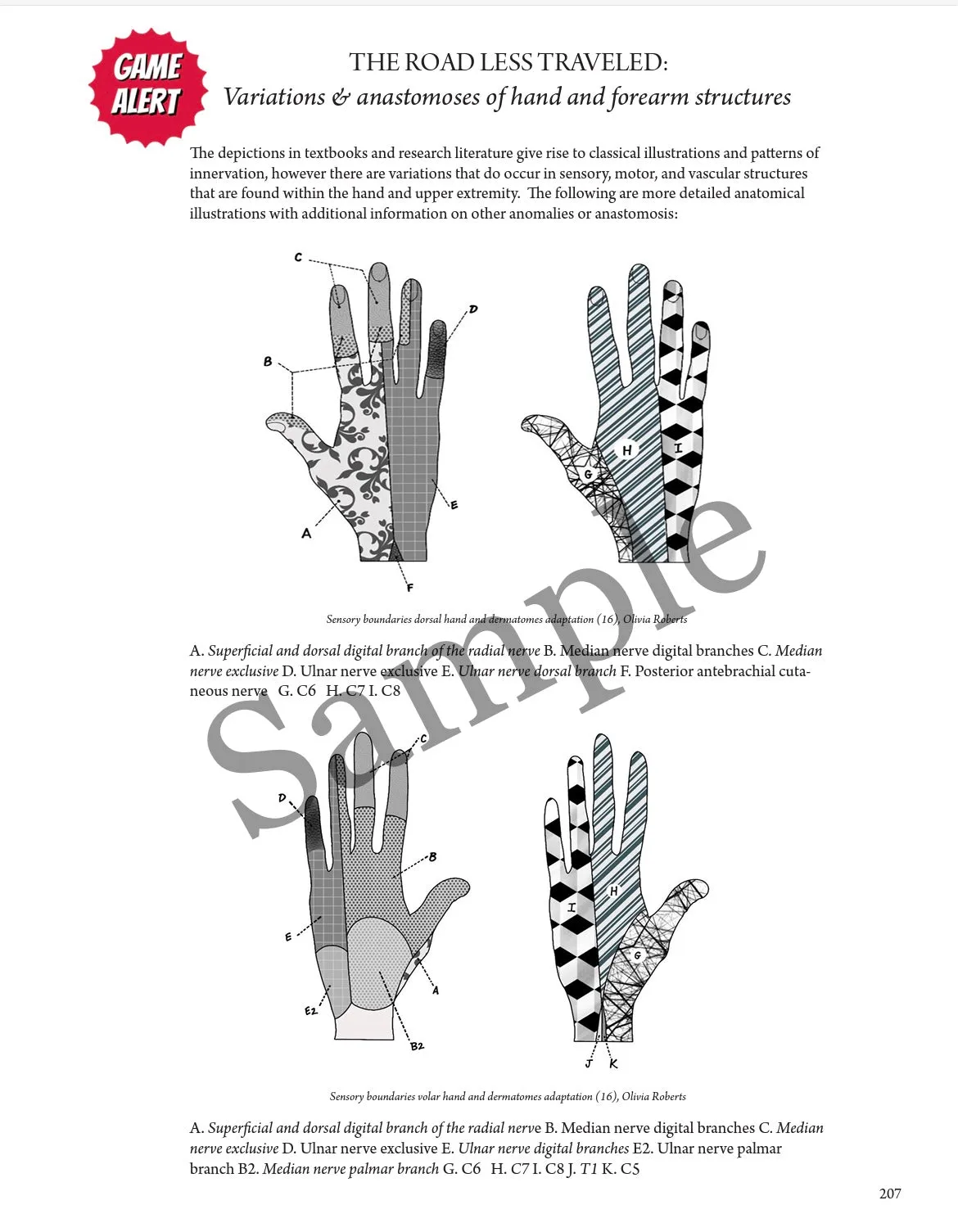 BEST VALUE: Everyday Anatomy! 0.9 CEUs are included! $244.00 Venmo only-