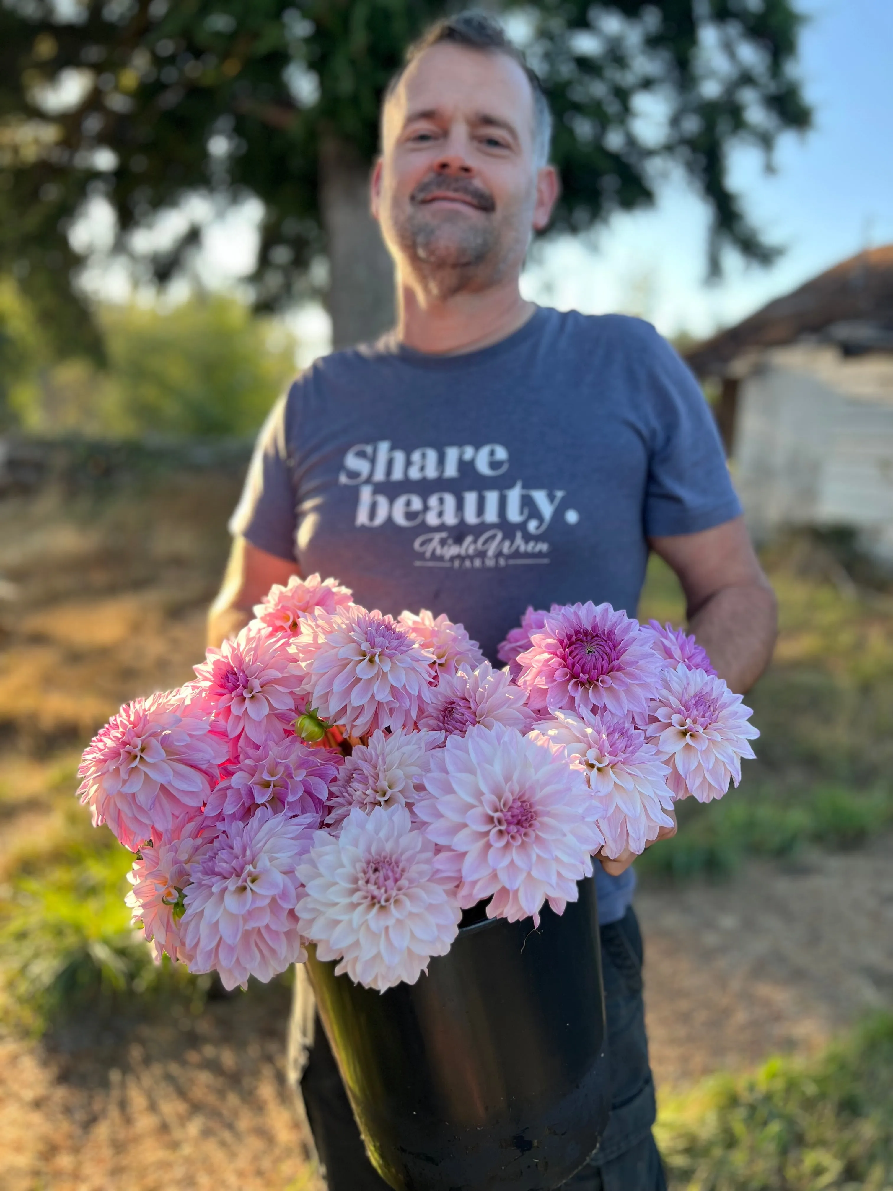 Bloomquist Compare Dahlia Tuber